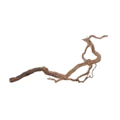 XL Drachen Wurzel Nr.7086 Holz Deko Aquascaping 7 XL Drachen Wurzel Nr.7086 Holz Deko Aquascaping -Haus Dekoration Verkaufsgeschäft XL Drachen Wurzel Nr 7085 Holz Deko Aquascaping 7086 4 30763