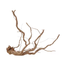 XL Drachen Wurzel Nr.7089 Holz Deko Aquascaping -Haus Dekoration Verkaufsgeschäft XL Drachen Wurzel Nr 7088 Holz Deko Aquascaping 7089 3 30766