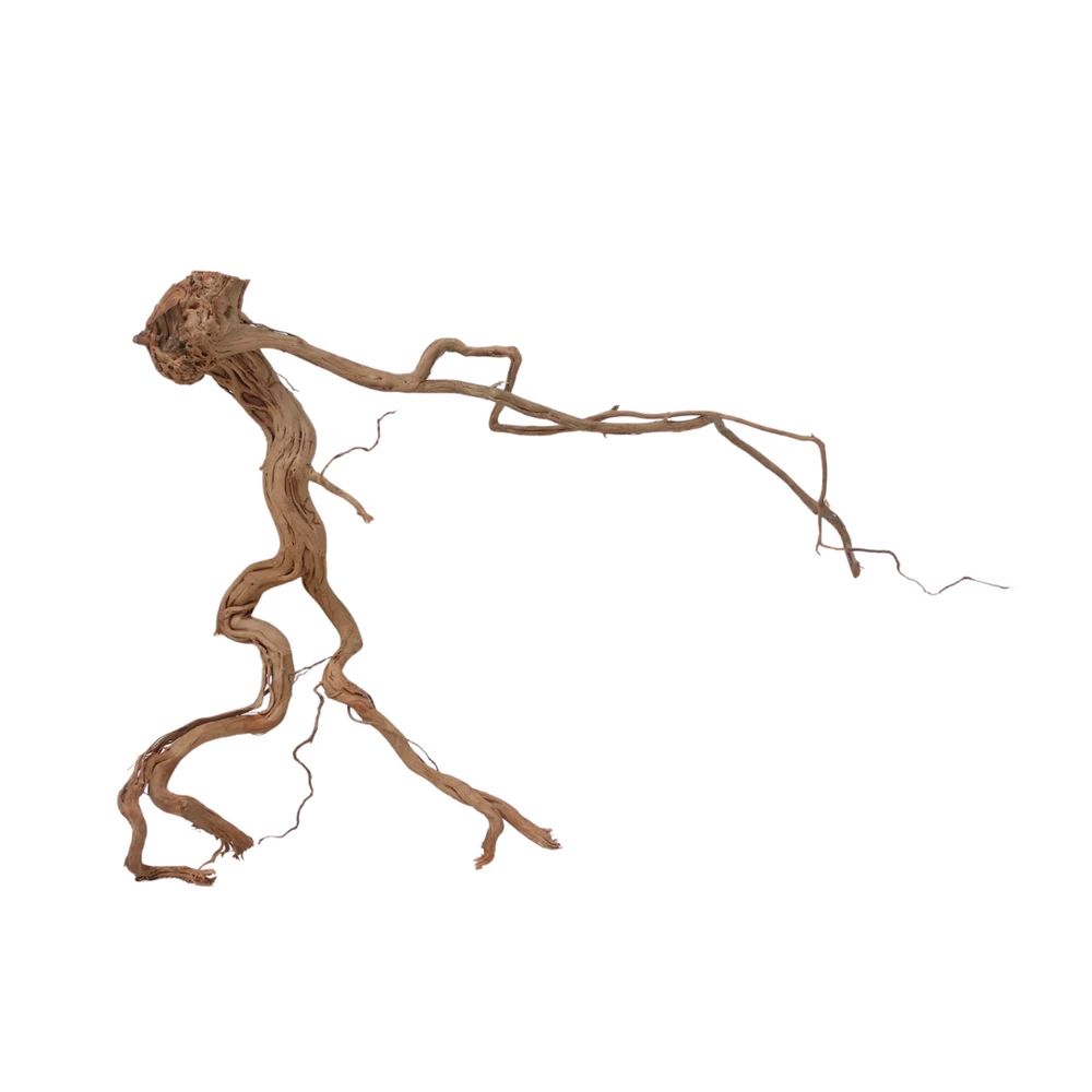 XL Drachen Wurzel Nr.7090 Holz Deko Aquascaping 2 XL Drachen Wurzel Nr.7090 Holz Deko Aquascaping – Bild 2