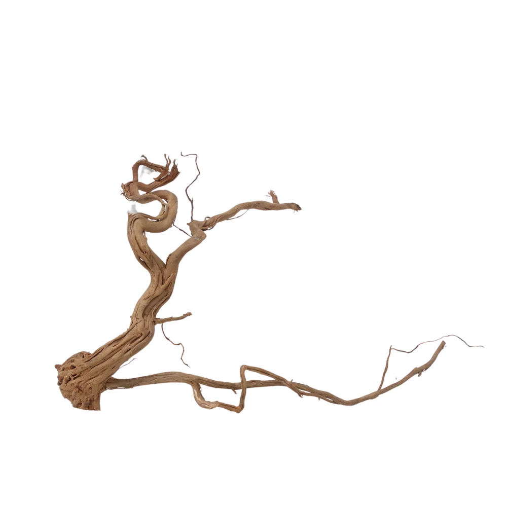 XL Drachen Wurzel Nr.7090 Holz Deko Aquascaping 3 XL Drachen Wurzel Nr.7090 Holz Deko Aquascaping – Bild 3