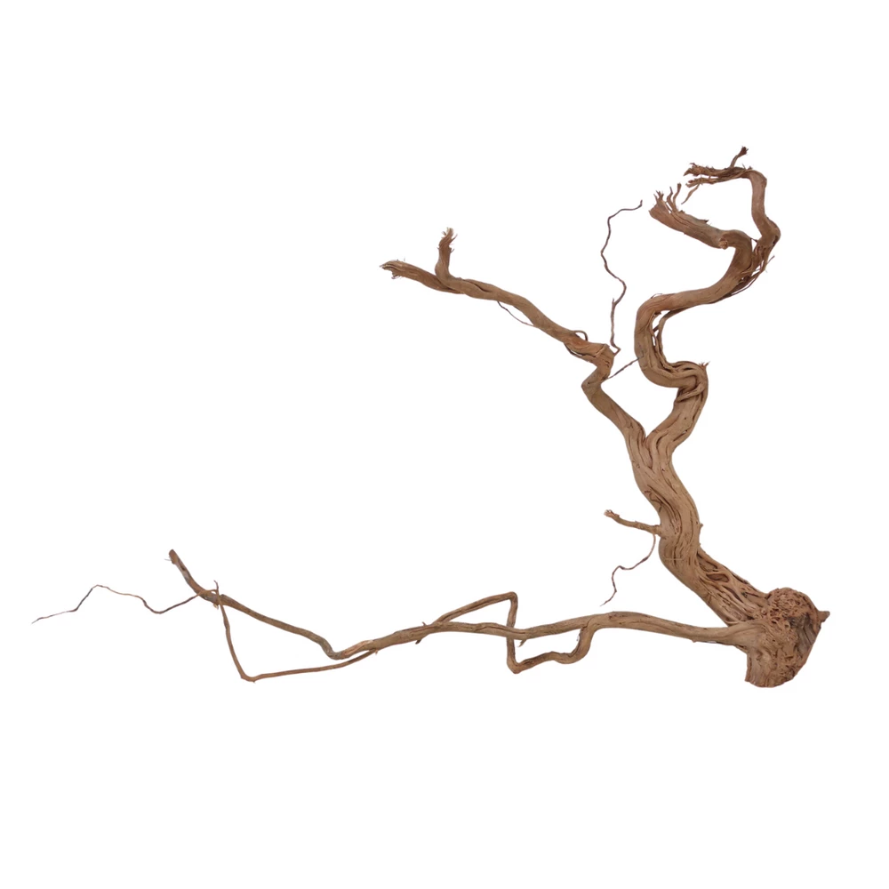 XL Drachen Wurzel Nr.7090 Holz Deko Aquascaping 4 XL Drachen Wurzel Nr.7090 Holz Deko Aquascaping – Bild 4