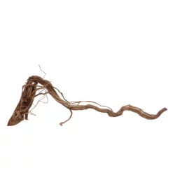 XL Drachen Wurzel Nr.7091 Holz Deko Aquascaping -Haus Dekoration Verkaufsgeschäft XL Drachen Wurzel Nr 7090 Holz Deko Aquascaping 7091 2 30768