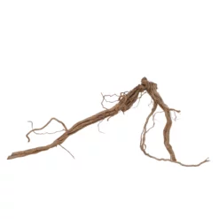 XL Drachen Wurzel Nr.7093 Holz Deko Aquascaping