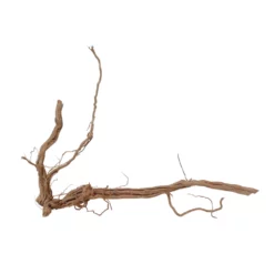 XL Drachen Wurzel Nr.7093 Holz Deko Aquascaping -Haus Dekoration Verkaufsgeschäft XL Drachen Wurzel Nr 7092 Holz Deko Aquascaping 7093 3 30770