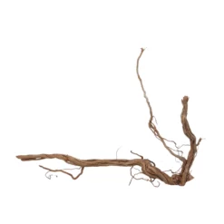 XL Drachen Wurzel Nr.7093 Holz Deko Aquascaping -Haus Dekoration Verkaufsgeschäft XL Drachen Wurzel Nr 7092 Holz Deko Aquascaping 7093 4 30770