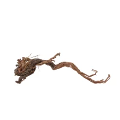 XL Drachen Wurzel Nr.7100 Holz Deko Aquascaping