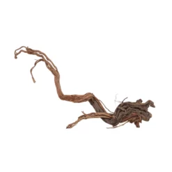 XL Drachen Wurzel Nr.7100 Holz Deko Aquascaping -Haus Dekoration Verkaufsgeschäft XL Drachen Wurzel Nr 7099 Holz Deko Aquascaping 7100 3 30777
