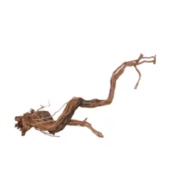 XL Drachen Wurzel Nr.7100 Holz Deko Aquascaping -Haus Dekoration Verkaufsgeschäft XL Drachen Wurzel Nr 7099 Holz Deko Aquascaping 7100 4 30777