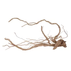 XL Drachen Wurzel Nr.7104 Holz Deko Aquascaping -Haus Dekoration Verkaufsgeschäft XL Drachen Wurzel Nr 7103 Holz Deko Aquascaping 7104 1 30781