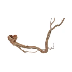 XL Drachen Wurzel Nr.7106 Holz Deko Aquascaping -Haus Dekoration Verkaufsgeschäft XL Drachen Wurzel Nr 7105 Holz Deko Aquascaping 7106 3 30783