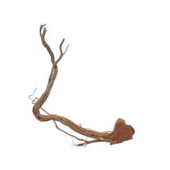 XL Drachen Wurzel Nr.7106 Holz Deko Aquascaping -Haus Dekoration Verkaufsgeschäft XL Drachen Wurzel Nr 7105 Holz Deko Aquascaping 7106 4 30783