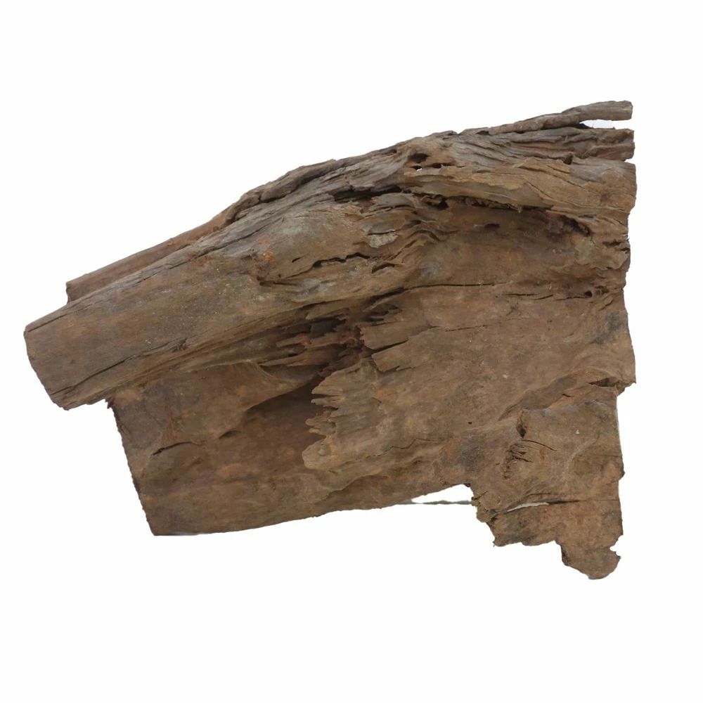 XL Mangrovenwurzel Nr.4656 Holz Deko Aquascaping 1 XL Mangrovenwurzel Nr.4656 Holz Deko Aquascaping
