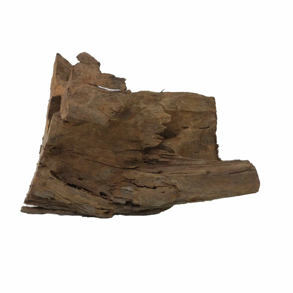 XL Mangrovenwurzel Nr.4656 Holz Deko Aquascaping 2 XL Mangrovenwurzel Nr.4656 Holz Deko Aquascaping – Bild 2