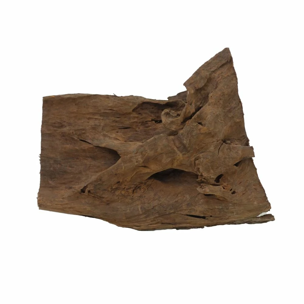 XL Mangrovenwurzel Nr.4656 Holz Deko Aquascaping 3 XL Mangrovenwurzel Nr.4656 Holz Deko Aquascaping – Bild 3