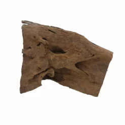 XL Mangrovenwurzel Nr.4656 Holz Deko Aquascaping 7 XL Mangrovenwurzel Nr.4656 Holz Deko Aquascaping -Haus Dekoration Verkaufsgeschäft XL Mangrovenwurzel Nr 4655 Holz Deko Aquascaping 4656 4 Kopie 28008