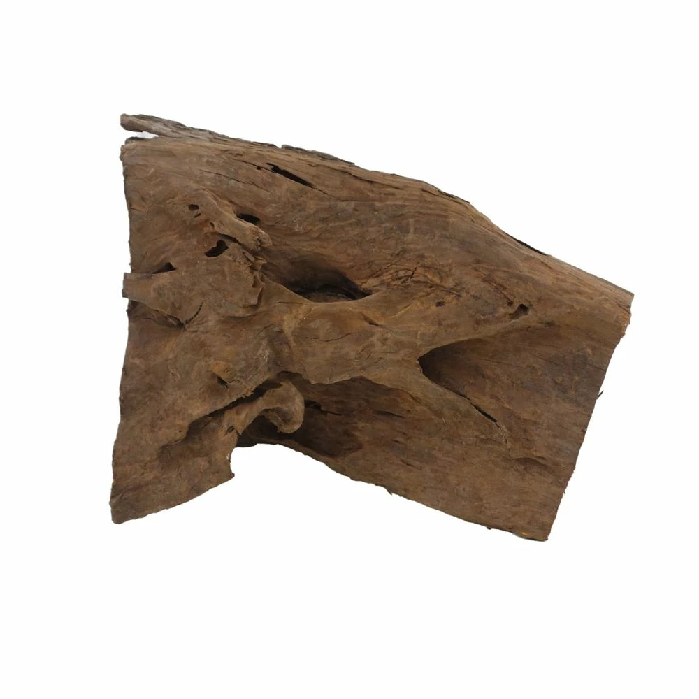 XL Mangrovenwurzel Nr.4656 Holz Deko Aquascaping 4 XL Mangrovenwurzel Nr.4656 Holz Deko Aquascaping – Bild 4