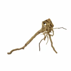 XL Moorkienwurzel Nr.7358 Holz Deko Aquascaping