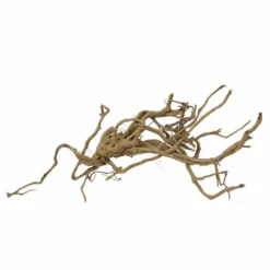 XL Moorkienwurzel Nr.7368 Holz Deko Aquascaping -Haus Dekoration Verkaufsgeschäft XL Moorkienwurzel Nr 7367 Holz Deko Aquascaping 7368 2 2 31109