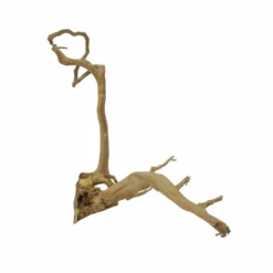 XL Moorkienwurzel Nr.7369 Holz Deko Aquascaping -Haus Dekoration Verkaufsgeschäft XL Moorkienwurzel Nr 7368 Holz Deko Aquascaping 7369 4 31110