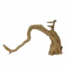 XL Moorkienwurzel Nr.7370 Holz Deko Aquascaping