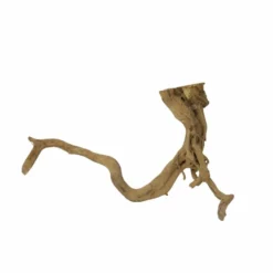 XL Moorkienwurzel Nr.7370 Holz Deko Aquascaping -Haus Dekoration Verkaufsgeschäft XL Moorkienwurzel Nr 7369 Holz Deko Aquascaping 7370 3 31111