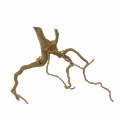 XL Moorkienwurzel Nr.7371 Holz Deko Aquascaping