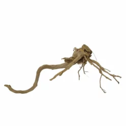 XL Moorkienwurzel Nr.7372 Holz Deko Aquascaping -Haus Dekoration Verkaufsgeschäft XL Moorkienwurzel Nr 7371 Holz Deko Aquascaping 7372 2 31113