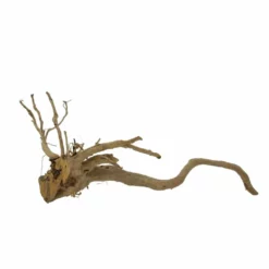 XL Moorkienwurzel Nr.7372 Holz Deko Aquascaping -Haus Dekoration Verkaufsgeschäft XL Moorkienwurzel Nr 7371 Holz Deko Aquascaping 7372 4 31113