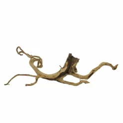 XL Moorkienwurzel Nr.7375 Holz Deko Aquascaping -Haus Dekoration Verkaufsgeschäft XL Moorkienwurzel Nr 7374 Holz Deko Aquascaping 7375 3 31116