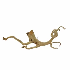 XL Moorkienwurzel Nr.7375 Holz Deko Aquascaping -Haus Dekoration Verkaufsgeschäft XL Moorkienwurzel Nr 7374 Holz Deko Aquascaping 7375 4 31116