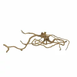 XL Moorkienwurzel Nr.7382 Holz Deko Aquascaping