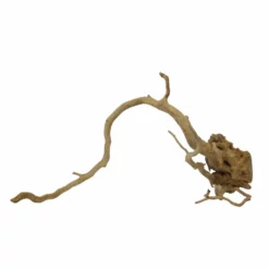 XL Moorkienwurzel Nr.7385 Holz Deko Aquascaping