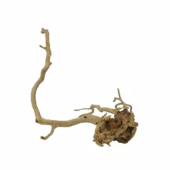 XL Moorkienwurzel Nr.7385 Holz Deko Aquascaping -Haus Dekoration Verkaufsgeschäft XL Moorkienwurzel Nr 7384 Holz Deko Aquascaping 7385 4 31126