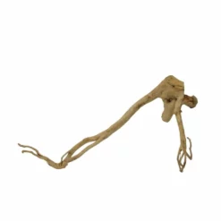 XL Moorkienwurzel Nr.7386 Holz Deko Aquascaping