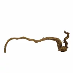 XL Moorkienwurzel Nr.7387 Holz Deko Aquascaping -Haus Dekoration Verkaufsgeschäft XL Moorkienwurzel Nr 7386 Holz Deko Aquascaping 7387 3 31128