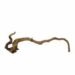 XL Moorkienwurzel Nr.7387 Holz Deko Aquascaping -Haus Dekoration Verkaufsgeschäft XL Moorkienwurzel Nr 7386 Holz Deko Aquascaping 7387 4 31128