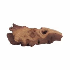 XL Mopani Wurzel Nr.6881 Holz Deko Aquascaping -Haus Dekoration Verkaufsgeschäft XL Mopani Wurzel Nr 6880 Holz Deko Aquascaping 6881 4 30500
