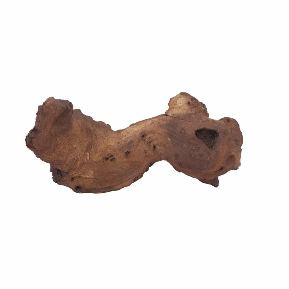 XL Mopani Wurzel Nr.6892 Holz Deko Aquascaping 2 XL Mopani Wurzel Nr.6892 Holz Deko Aquascaping – Bild 2