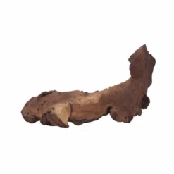 XL Mopani Wurzel Nr.6892 Holz Deko Aquascaping 7 XL Mopani Wurzel Nr.6892 Holz Deko Aquascaping -Haus Dekoration Verkaufsgeschäft XL Mopani Wurzel Nr 6891 Holz Deko Aquascaping 6892 4 30511