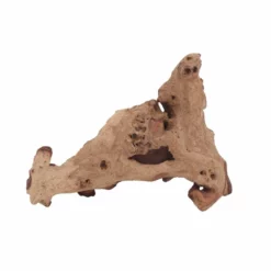 XL Mopani Wurzel Nr.6902 Holz Deko Aquascaping -Haus Dekoration Verkaufsgeschäft XL Mopani Wurzel Nr 6901 Holz Deko Aquascaping 6902 2 30521