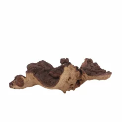 XL Mopani Wurzel Nr.6902 Holz Deko Aquascaping -Haus Dekoration Verkaufsgeschäft XL Mopani Wurzel Nr 6901 Holz Deko Aquascaping 6902 3 30521