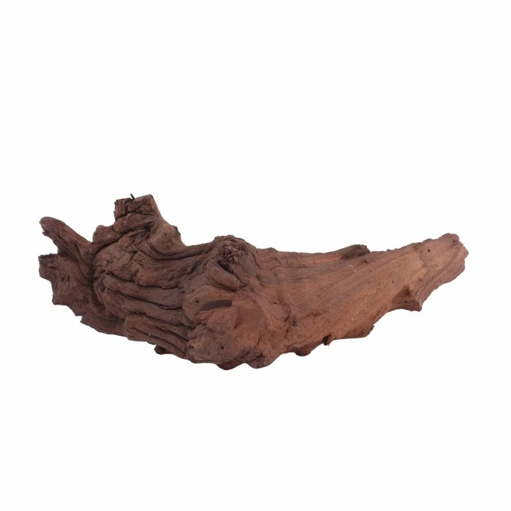 XL Mopani Wurzel Nr.6907 Holz Deko Aquascaping 1 XL Mopani Wurzel Nr.6907 Holz Deko Aquascaping
