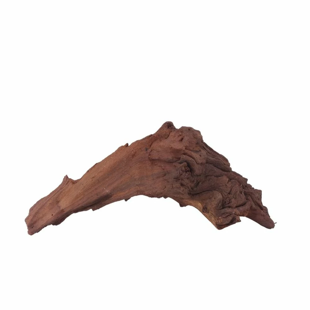 XL Mopani Wurzel Nr.6907 Holz Deko Aquascaping 3 XL Mopani Wurzel Nr.6907 Holz Deko Aquascaping – Bild 3