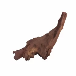 XL Mopani Wurzel Nr.6907 Holz Deko Aquascaping 7 XL Mopani Wurzel Nr.6907 Holz Deko Aquascaping -Haus Dekoration Verkaufsgeschäft XL Mopani Wurzel Nr 6906 Holz Deko Aquascaping 6907 4 30526