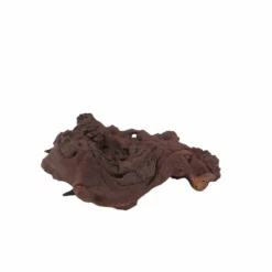 XL Mopani Wurzel Nr.6922 Holz Deko Aquascaping -Haus Dekoration Verkaufsgeschäft XL Mopani Wurzel Nr 6921 Holz Deko Aquascaping 6922 3 30542