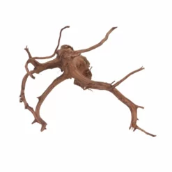 XL Red Spider Wurzel Nr.6113 Fingerwurzel Echtholz Deko Aquascaping 4 XL Red Spider Wurzel Nr.6113 Fingerwurzel Echtholz Deko Aquascaping -Haus Dekoration Verkaufsgeschäft XL Red Spider Wurzel Nr 6112 Fingerwurzel Echtholz Deko Aquascaping 6113 2 29522