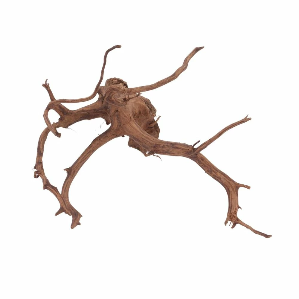 XL Red Spider Wurzel Nr.6113 Fingerwurzel Echtholz Deko Aquascaping 2 XL Red Spider Wurzel Nr.6113 Fingerwurzel Echtholz Deko Aquascaping – Bild 2