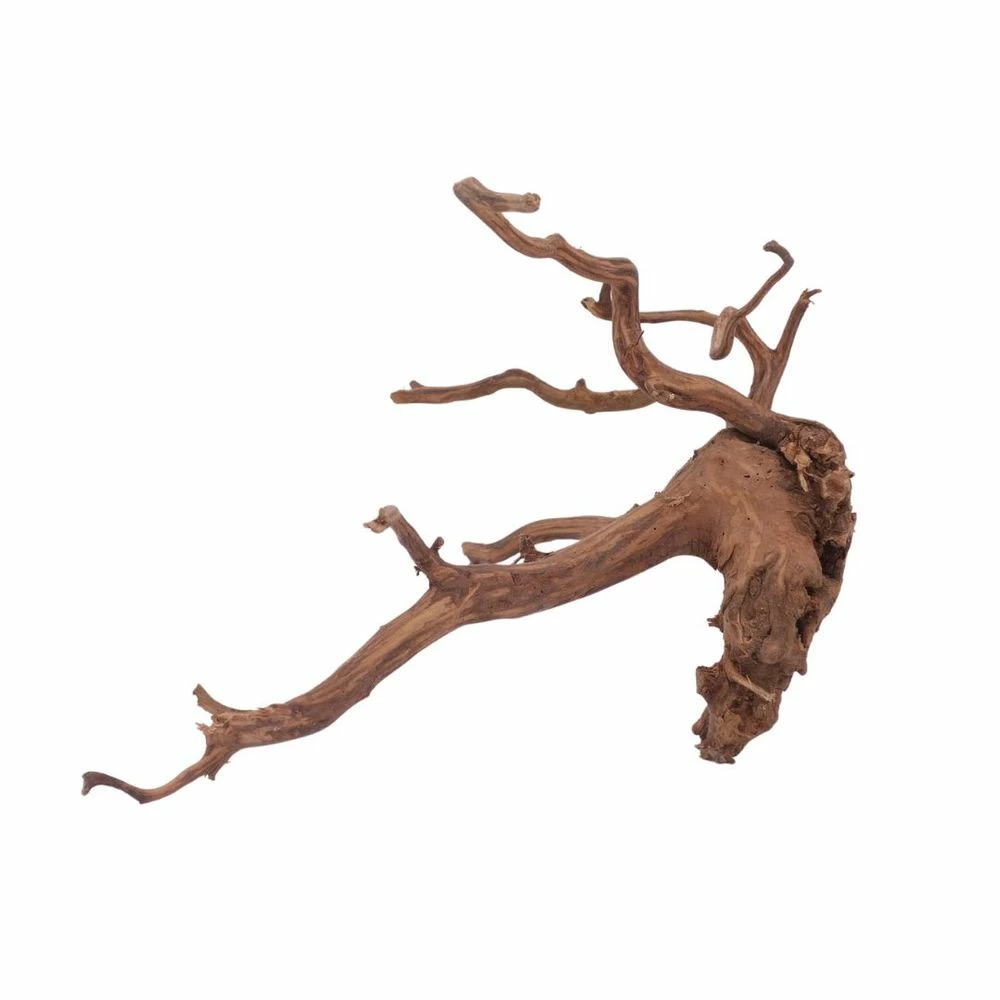 XL Red Spider Wurzel Nr.6113 Fingerwurzel Echtholz Deko Aquascaping 3 XL Red Spider Wurzel Nr.6113 Fingerwurzel Echtholz Deko Aquascaping – Bild 3