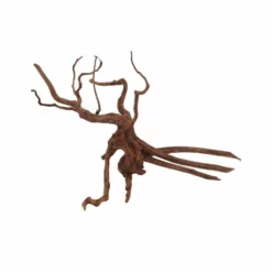 XL Red Spider Wurzel Nr.6858 Fingerwurzel Echtholz Deko Aquascaping -Haus Dekoration Verkaufsgeschäft XL Red Spider Wurzel Nr 6857 Fingerwurzel Echtholz Deko Aquascaping 6858 3 30477