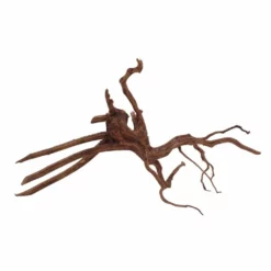 XL Red Spider Wurzel Nr.6858 Fingerwurzel Echtholz Deko Aquascaping -Haus Dekoration Verkaufsgeschäft XL Red Spider Wurzel Nr 6857 Fingerwurzel Echtholz Deko Aquascaping 6858 4 30477